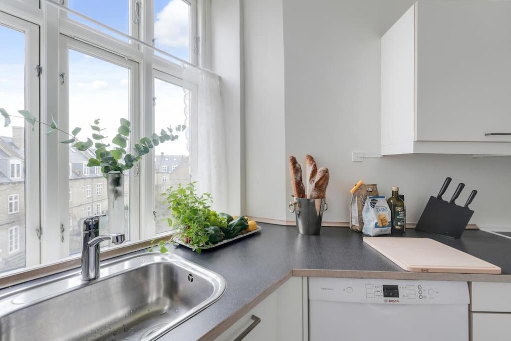 Appartement Attraktiv Pa Osterbro Copenhague